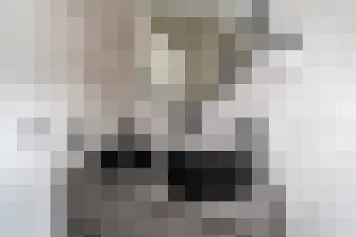 Hei-akker 2 Kaatsheuvel thumbnail 30