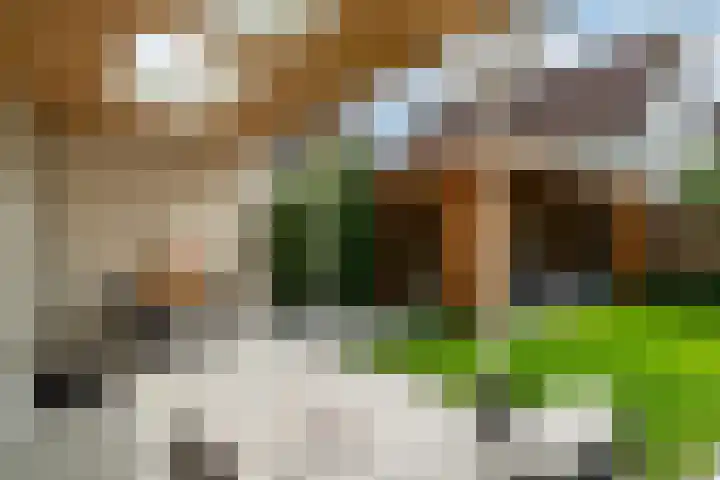 Hei-akker 2 Kaatsheuvel thumbnail 32