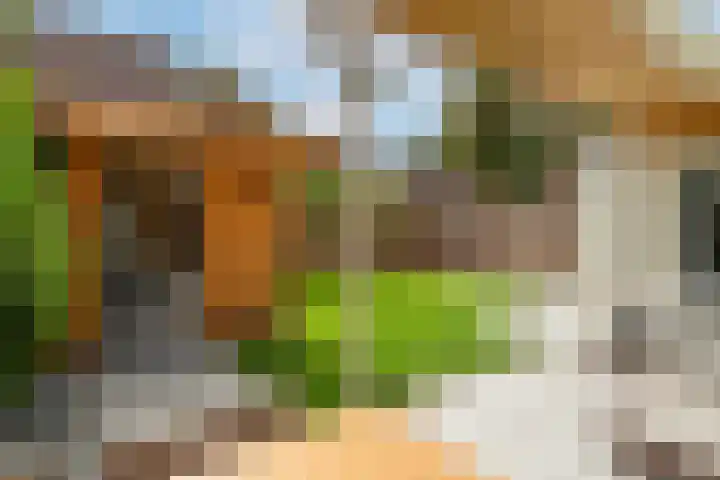 Hei-akker 2 Kaatsheuvel thumbnail 33