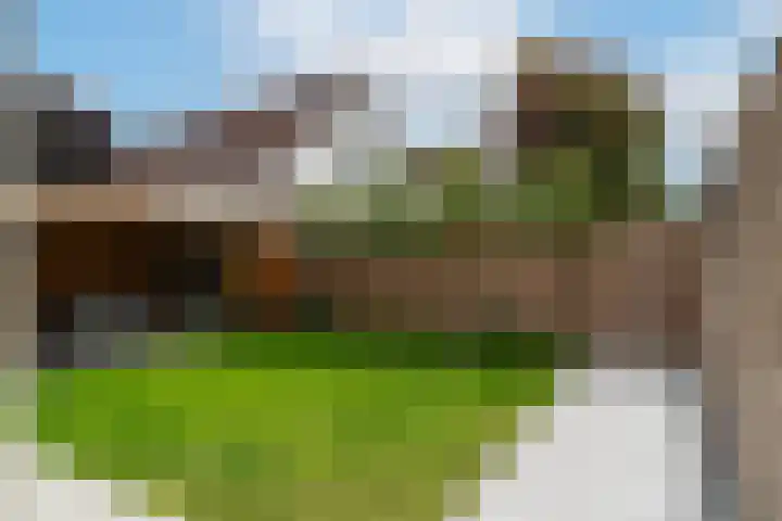Hei-akker 2 Kaatsheuvel thumbnail 34