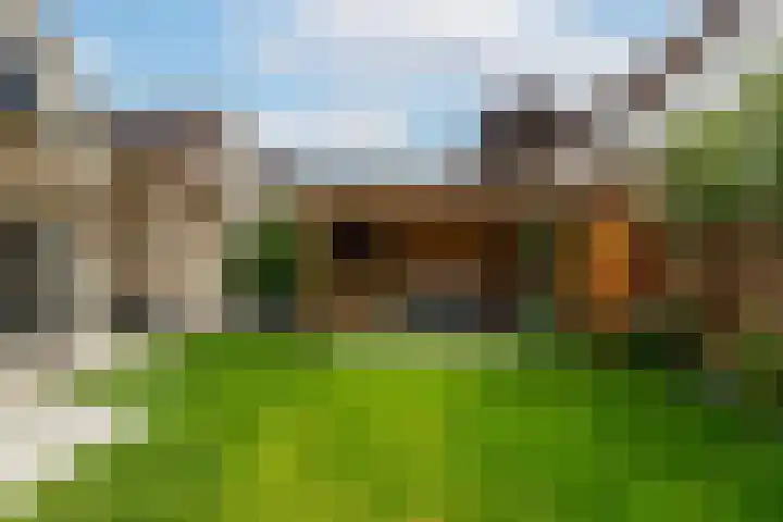 Hei-akker 2 Kaatsheuvel thumbnail 35