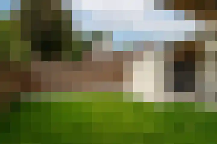 Hei-akker 2 Kaatsheuvel thumbnail 36
