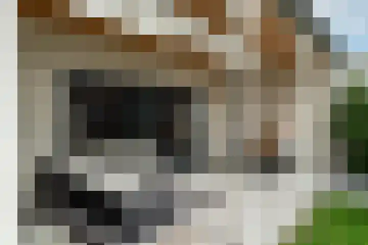 Hei-akker 2 Kaatsheuvel thumbnail 38