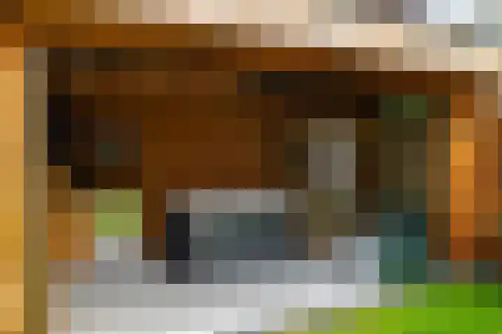 Hei-akker 2 Kaatsheuvel thumbnail 39