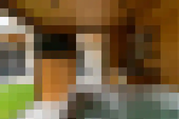 Hei-akker 2 Kaatsheuvel thumbnail 40