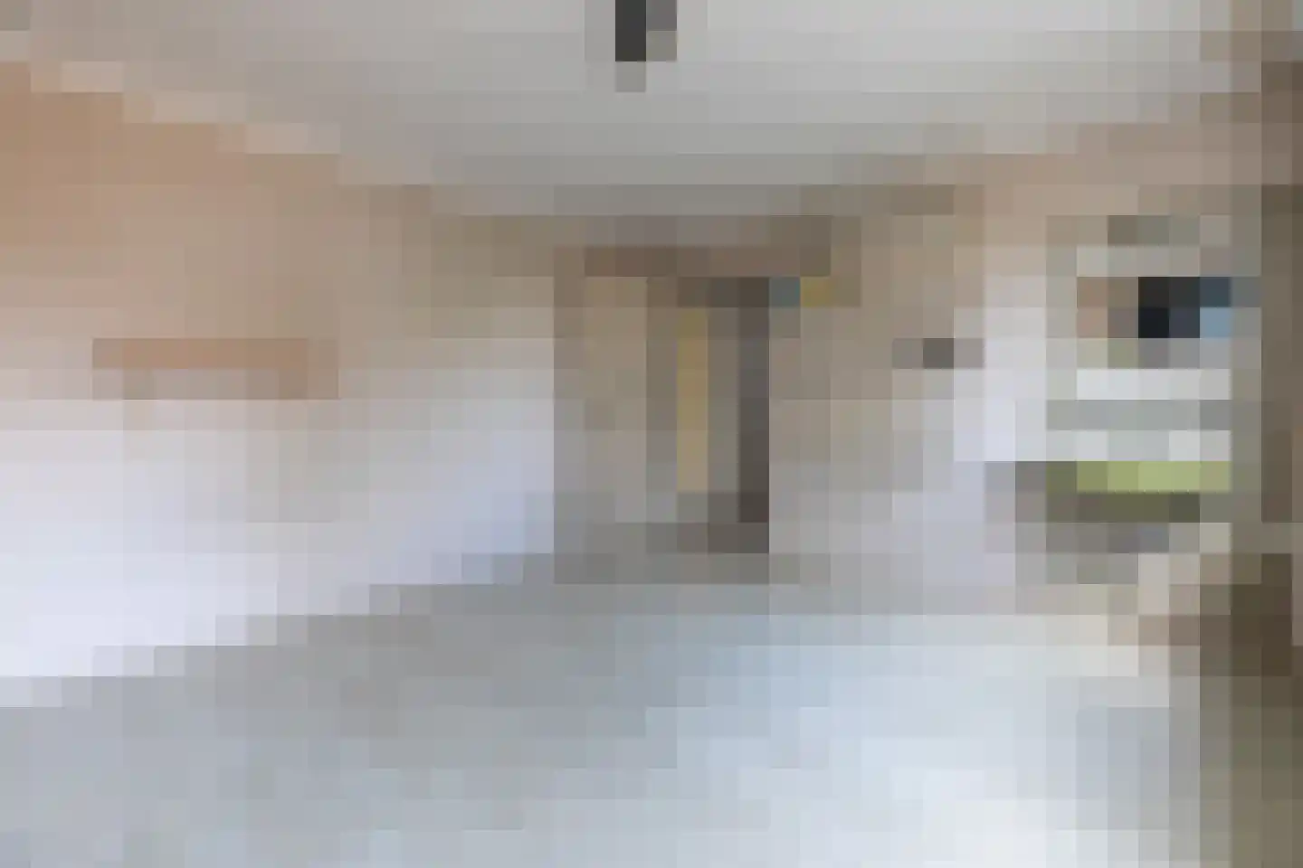 Hei-Carisborgweg 7 Heerlen thumbnail 14