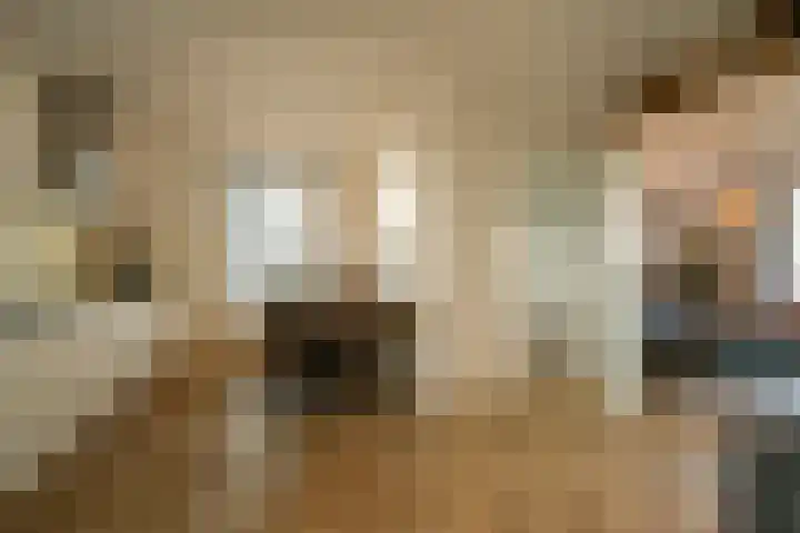 Hei- en Boeicopseweg 164 b Hei- en Boeicop thumbnail 20