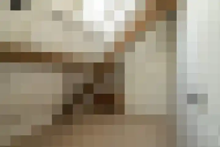 Hei- en Boeicopseweg 164 b Hei- en Boeicop thumbnail 38