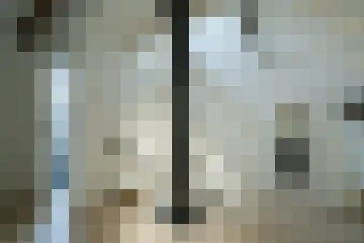 Hei- en Boeicopseweg 164 b Hei- en Boeicop thumbnail 45