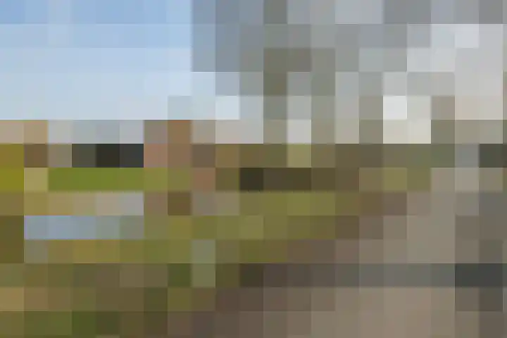 Hei- en Boeicopseweg 164 b Hei- en Boeicop thumbnail 5