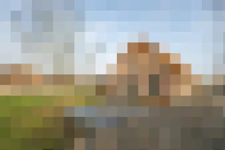 Hei- en Boeicopseweg 164 b Hei- en Boeicop thumbnail 6