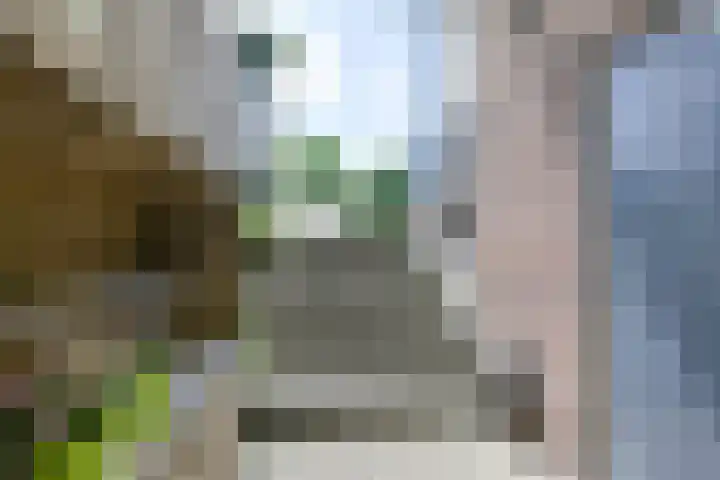 Hei- en Boeicopseweg 174 Hei- en Boeicop thumbnail 5