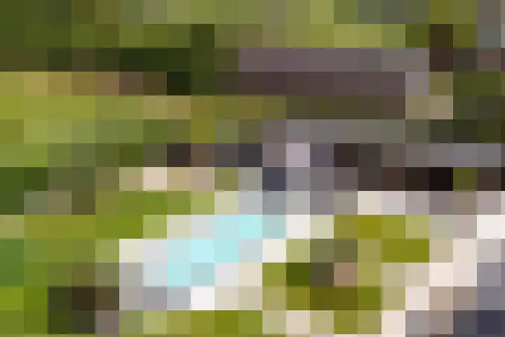 Hei- en Boeicopseweg 62 B Hei- en Boeicop thumbnail 34