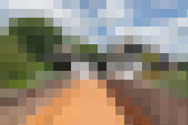 Hei- en Boeicopseweg 62 B Hei- en Boeicop thumbnail 4