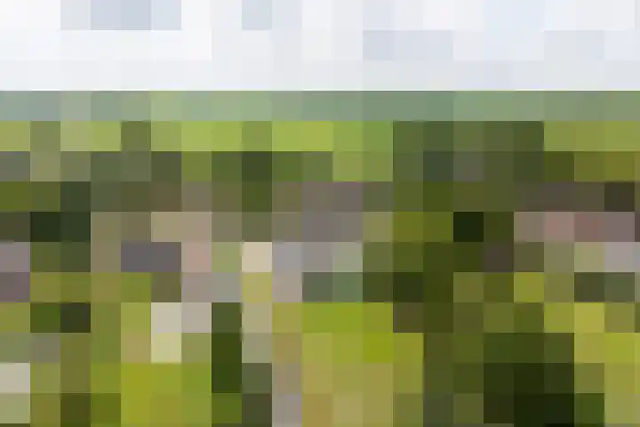 Hei- en Boeicopseweg 62 B Hei- en Boeicop thumbnail 46