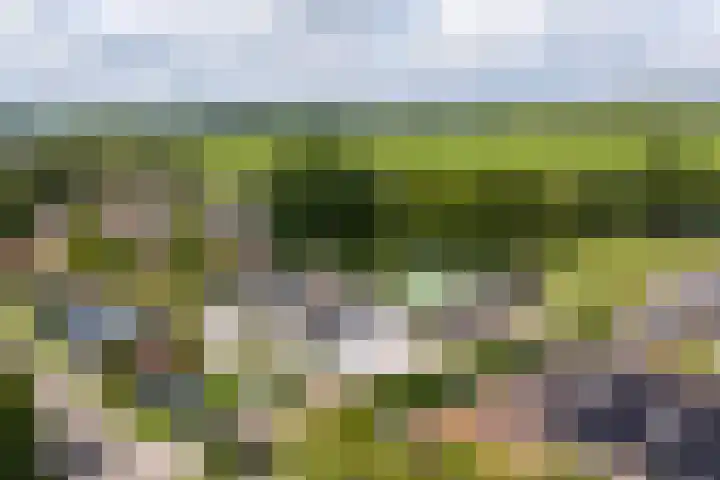 Hei- en Boeicopseweg 62 B Hei- en Boeicop thumbnail 47