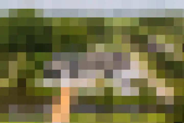Hei- en Boeicopseweg 62 B Hei- en Boeicop thumbnail 48