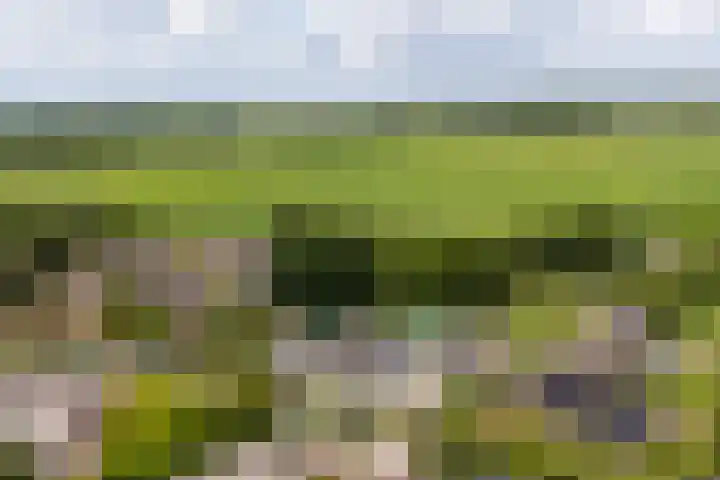 Hei- en Boeicopseweg 62 B Hei- en Boeicop thumbnail 50