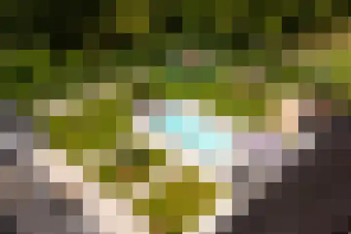 Hei- en Boeicopseweg 62 B Hei- en Boeicop thumbnail 51