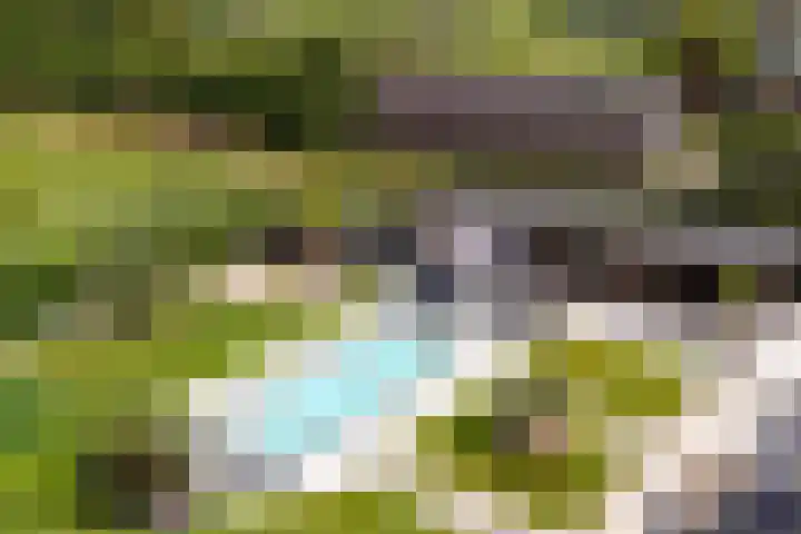 Hei- en Boeicopseweg 62 B Hei- en Boeicop thumbnail 52