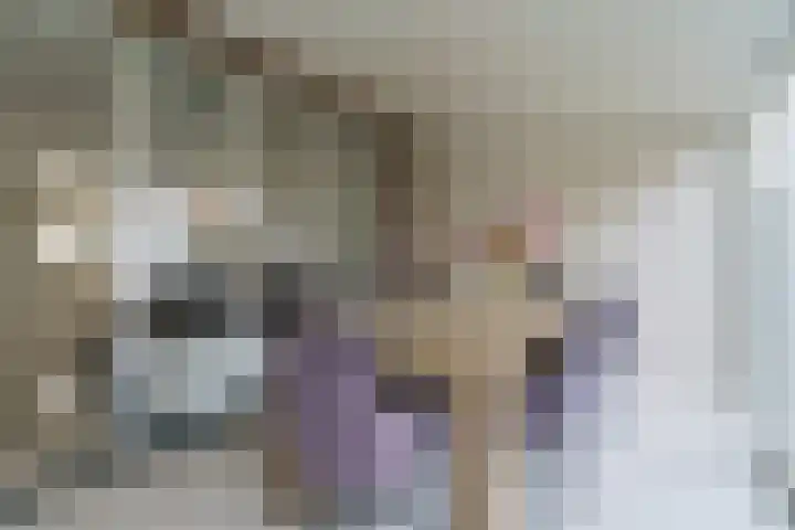 Heiakker 19 Helmond thumbnail 17