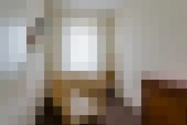 Heiakker 19 Helmond thumbnail 37