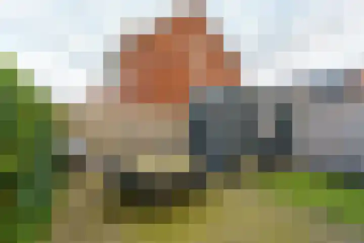 Heiakker 19 Helmond thumbnail 45