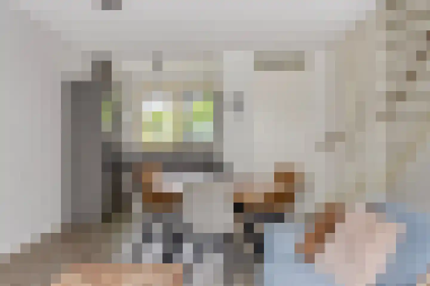 Heiakker 2 Helmond thumbnail 10