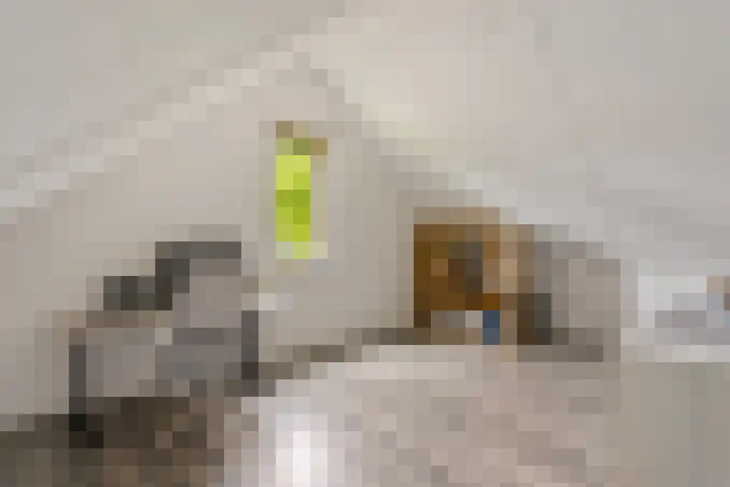 Heiakker 2 Helmond thumbnail 28