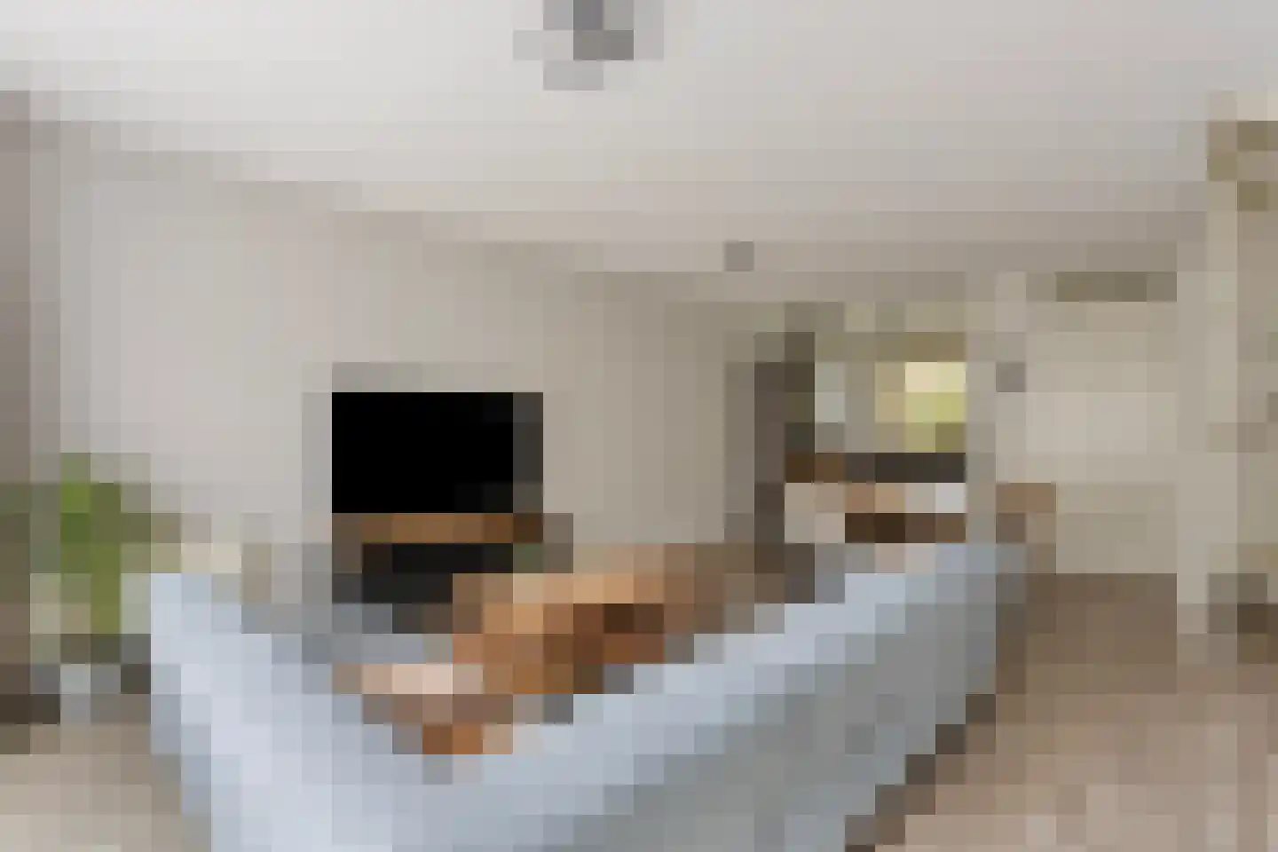 Heiakker 2 Helmond thumbnail 9