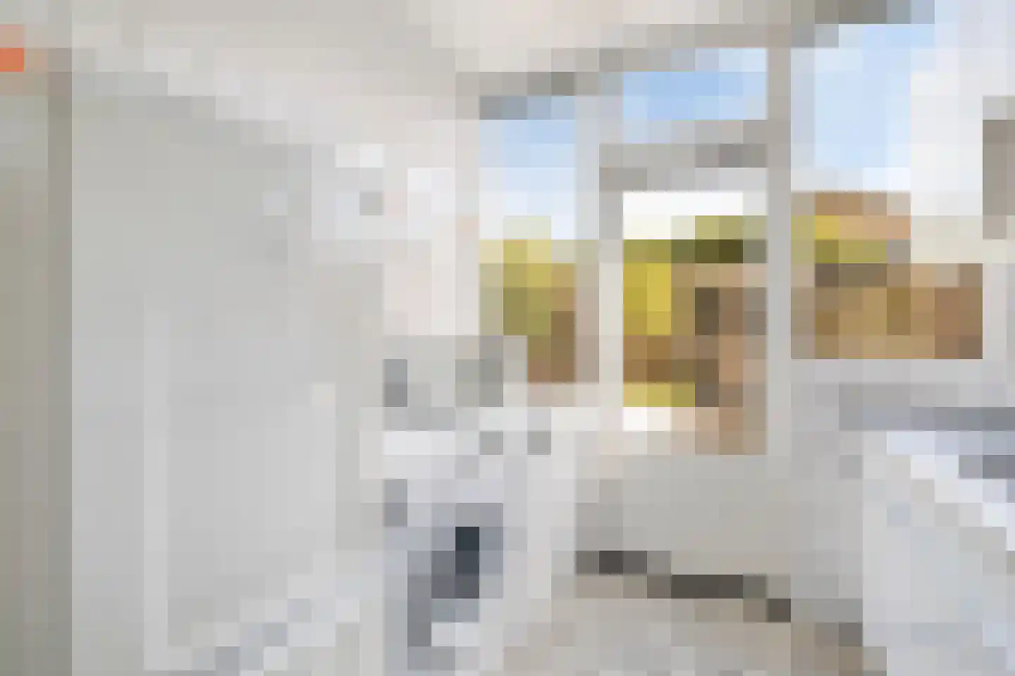 Heiakker 31 Prinsenbeek thumbnail 15