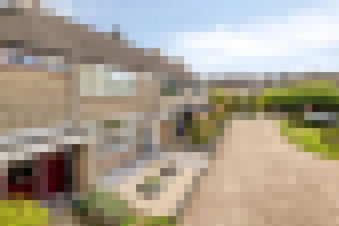 Heiakker 31 Prinsenbeek thumbnail 29