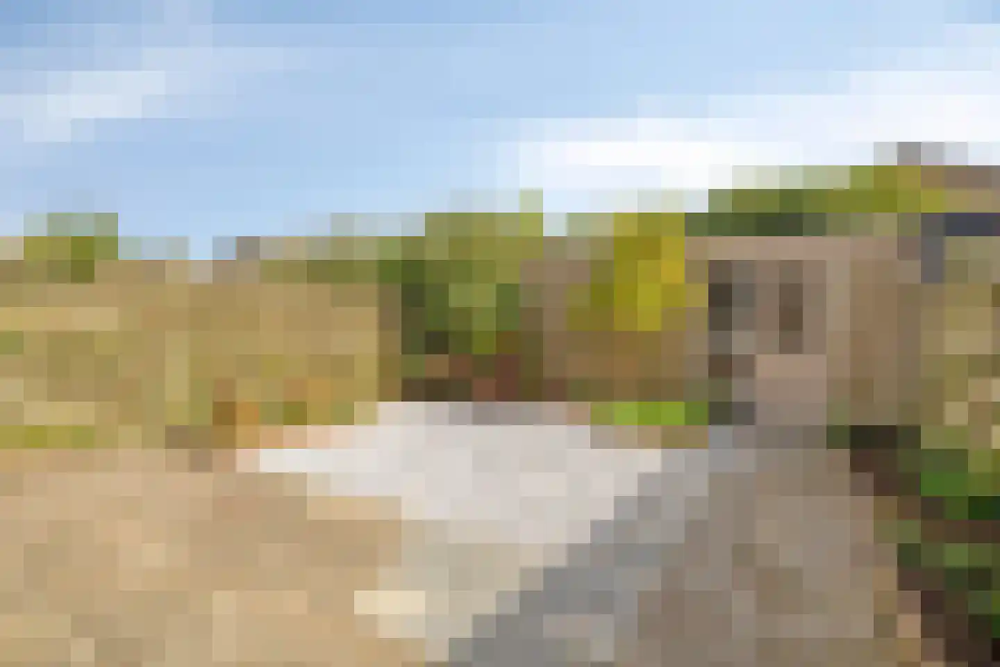Heiakker 31 Prinsenbeek thumbnail 8