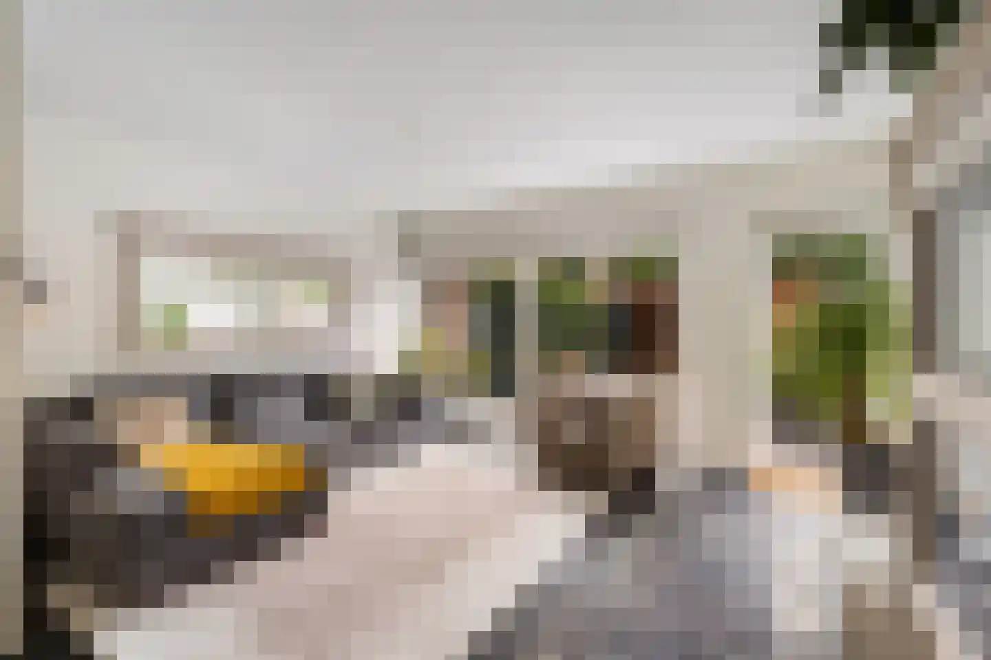 Heiakker 47 Prinsenbeek thumbnail 14
