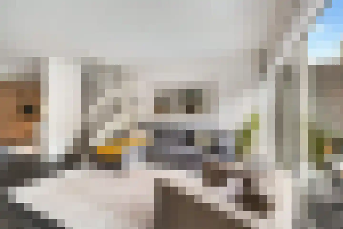 Heiakker 47 Prinsenbeek thumbnail 15