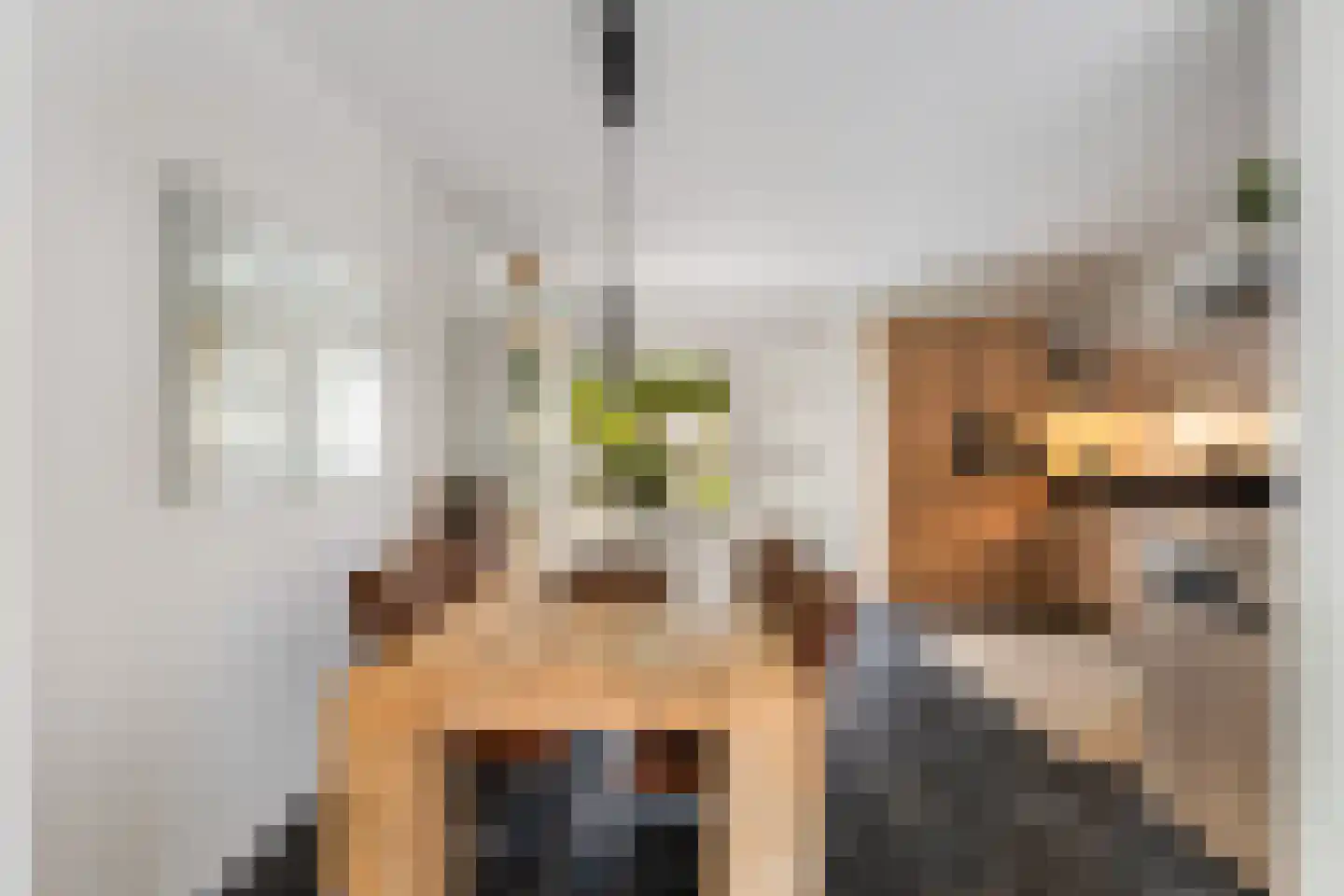 Heiakker 47 Prinsenbeek thumbnail 16