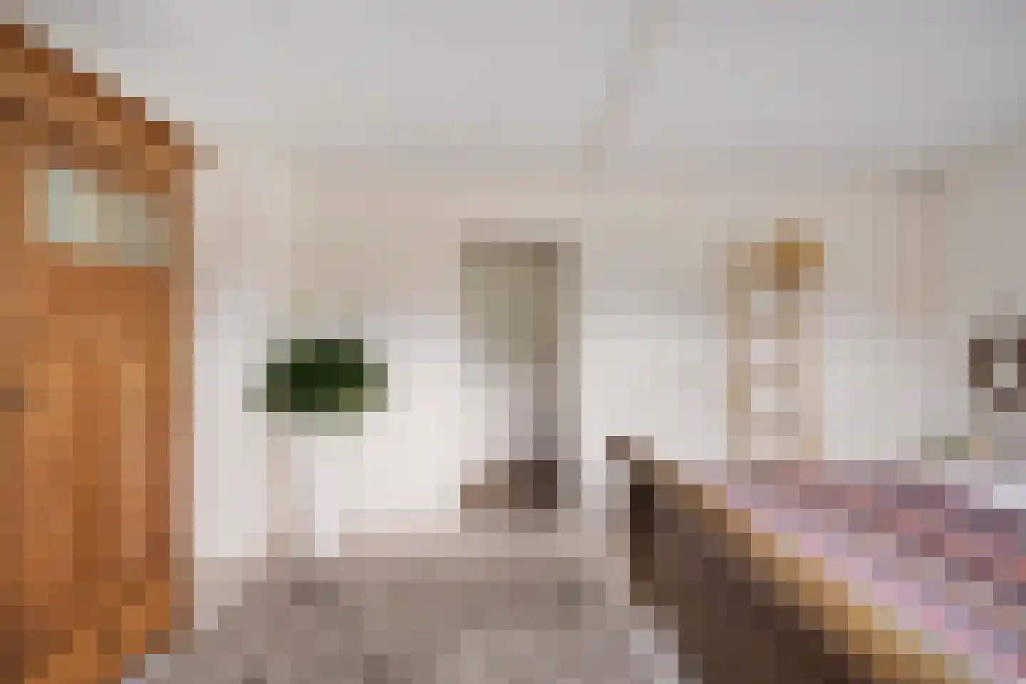 Heiakker 47 Prinsenbeek thumbnail 23