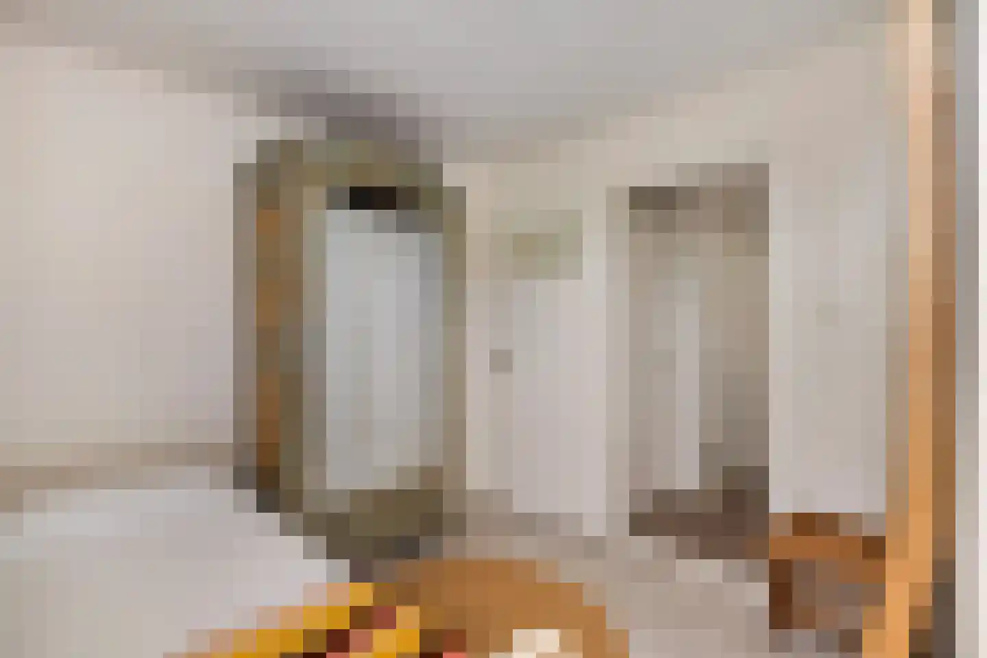 Heiakker 47 Prinsenbeek thumbnail 26