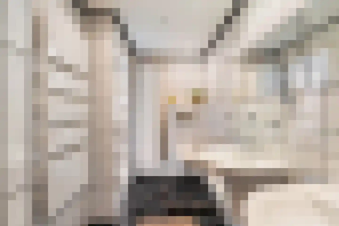 Heiakker 47 Prinsenbeek thumbnail 28