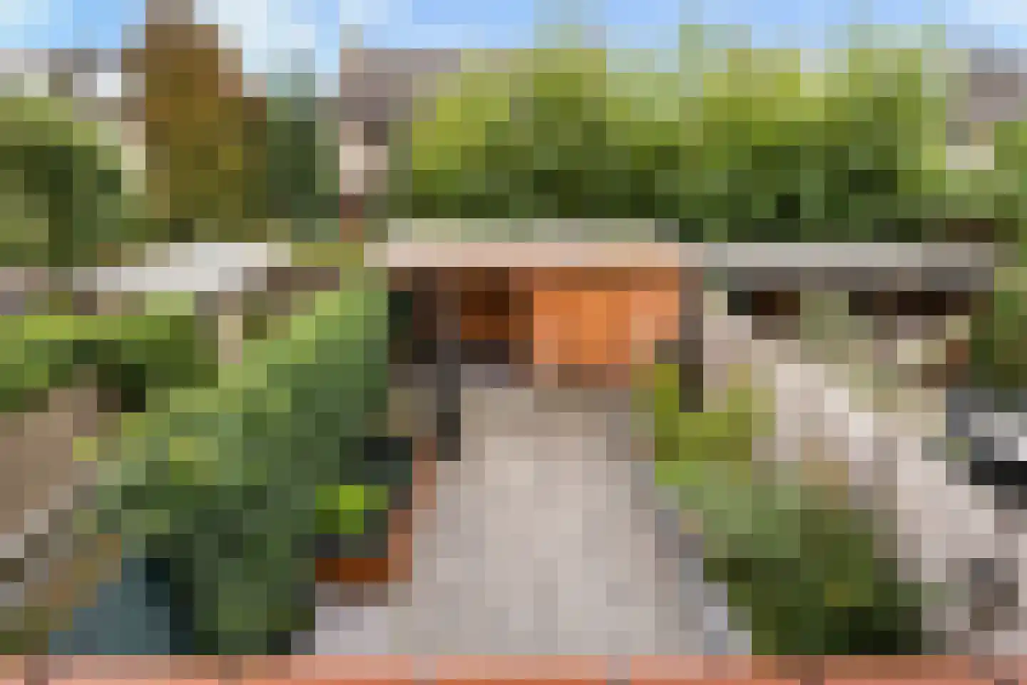 Heiakker 47 Prinsenbeek thumbnail 32