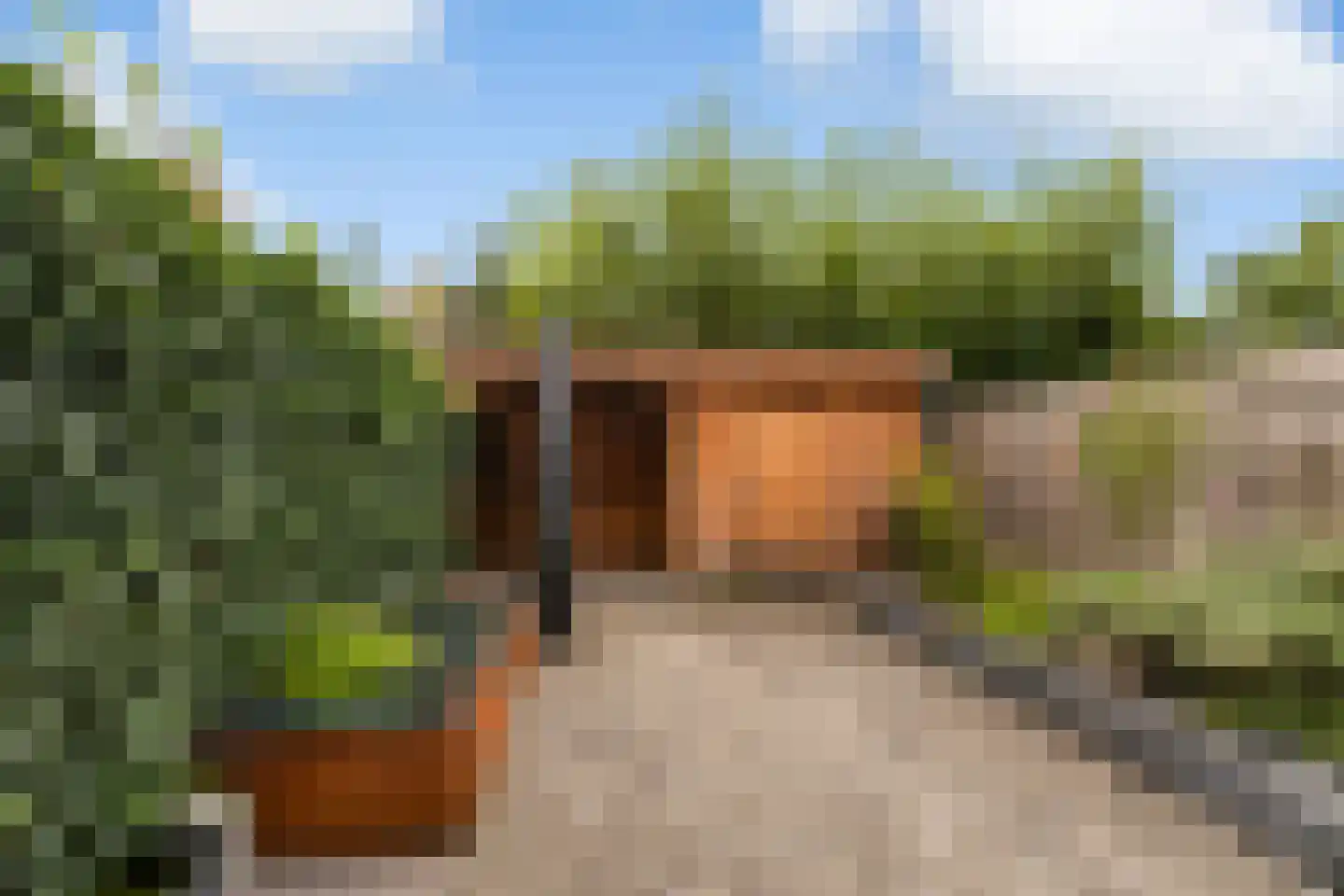 Heiakker 47 Prinsenbeek thumbnail 34