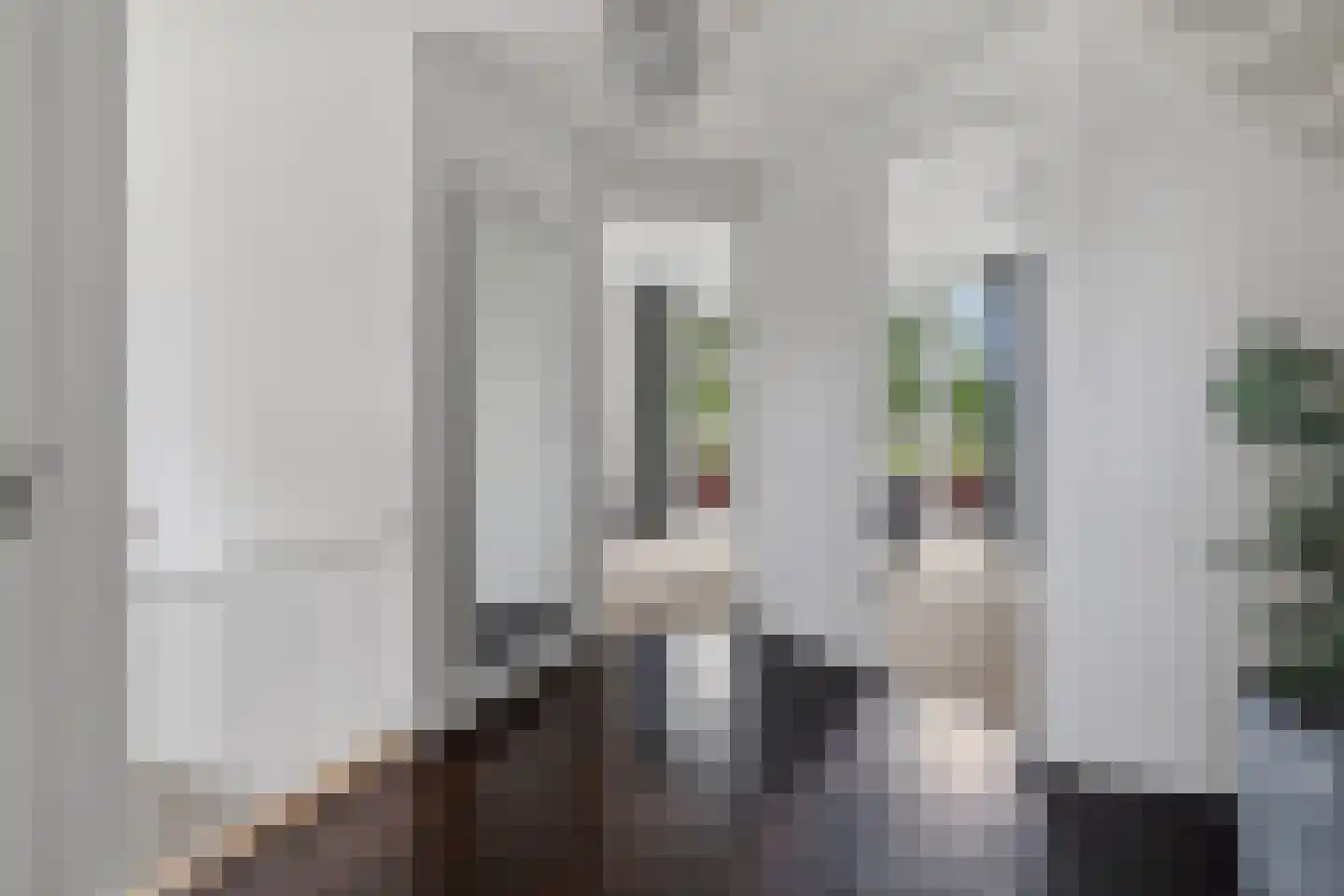 Heiakkerstraat 71 Veghel thumbnail 18