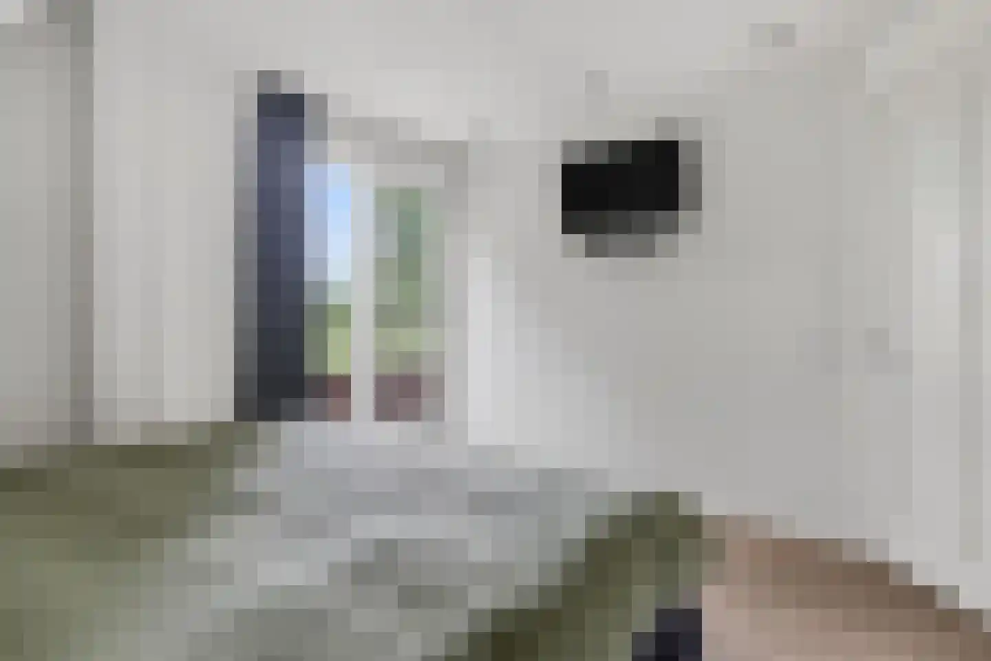 Heiakkerstraat 71 Veghel thumbnail 22
