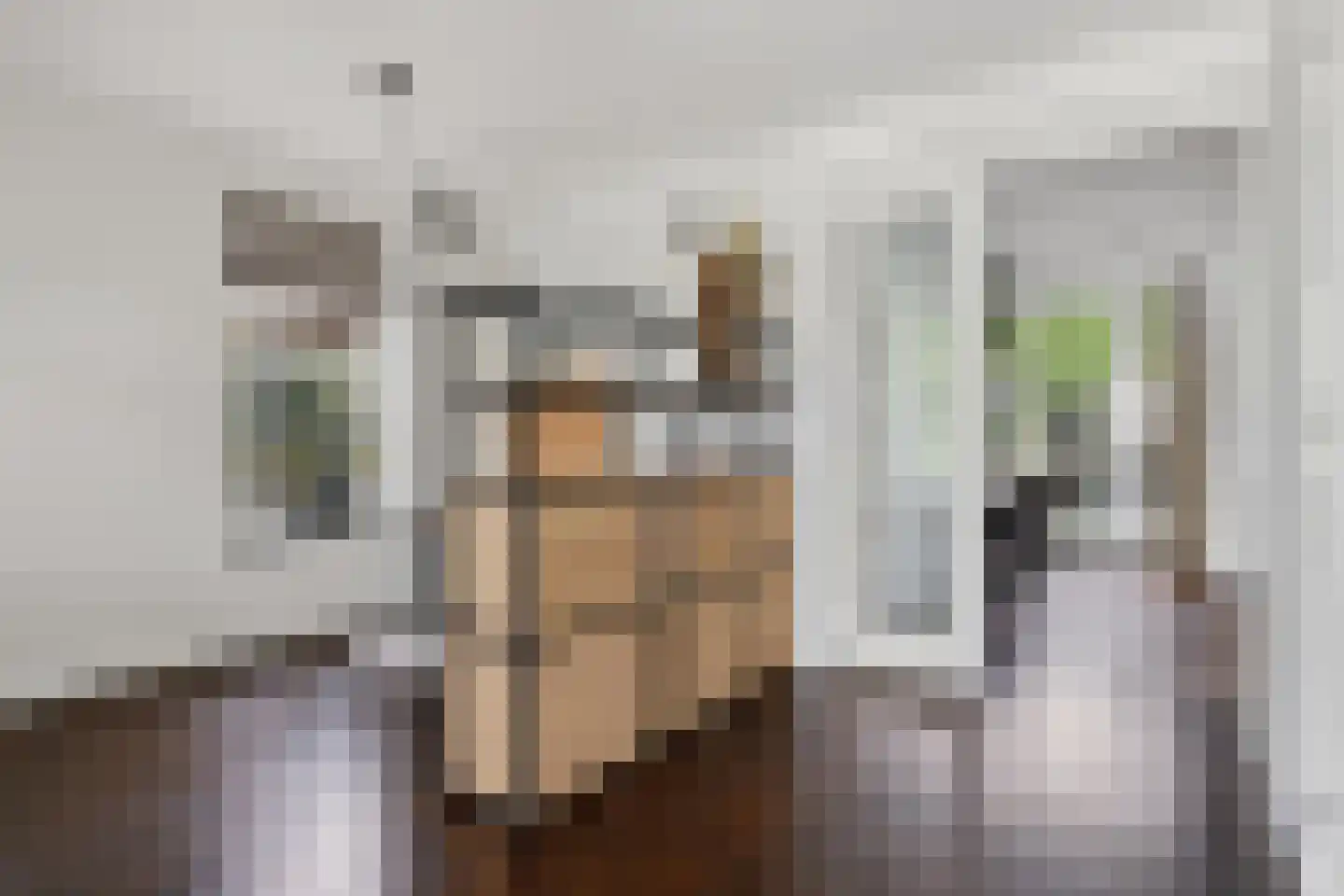 Heiakkerstraat 71 Veghel thumbnail 8