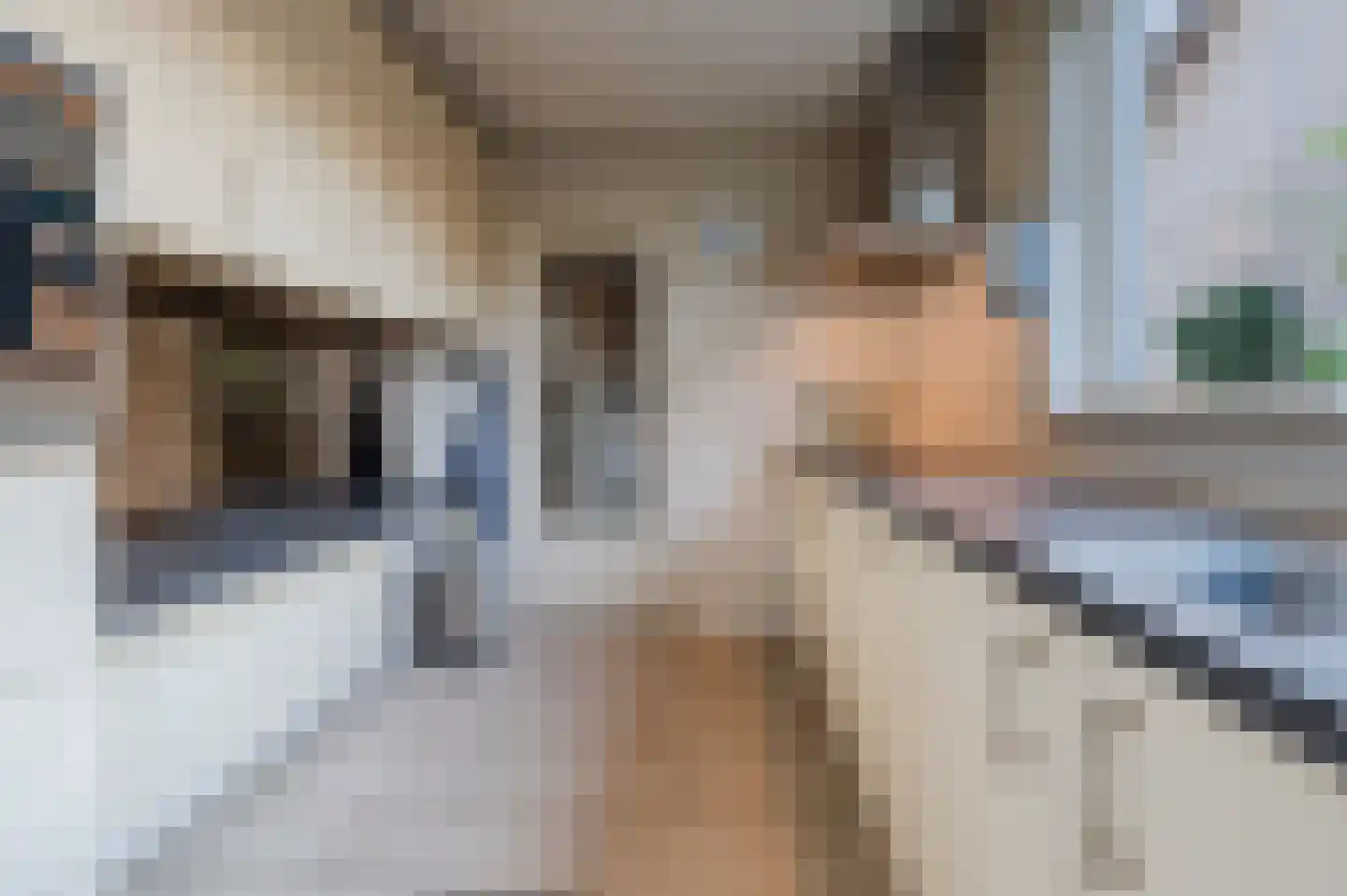 Heibeekstraat 16 Geldrop thumbnail 13