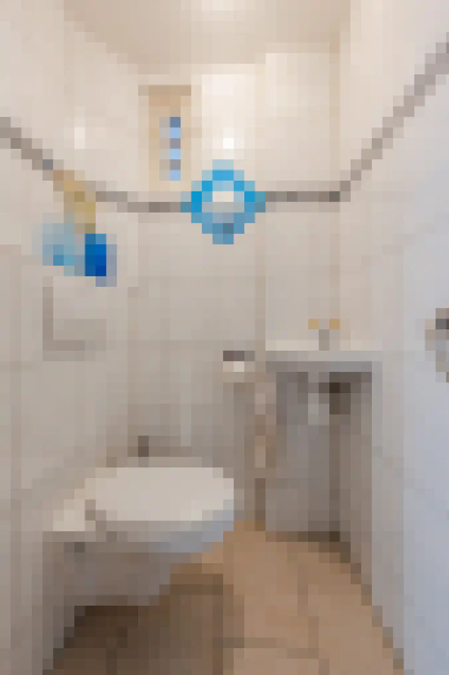 Heibeekstraat 16 Geldrop thumbnail 15