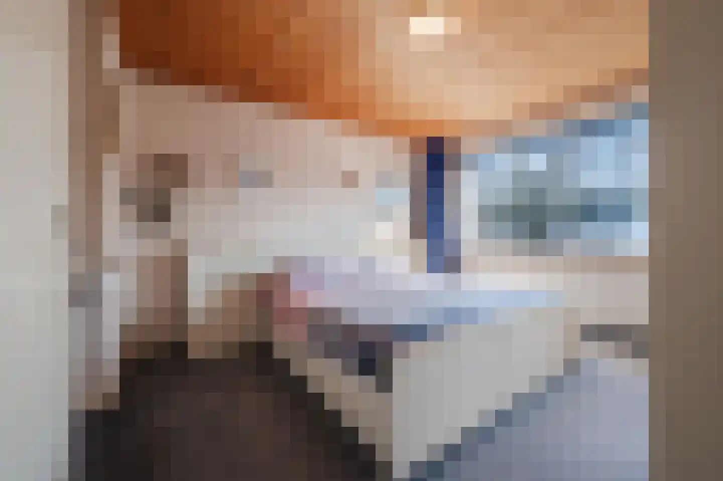 Heibeekstraat 16 Geldrop thumbnail 18