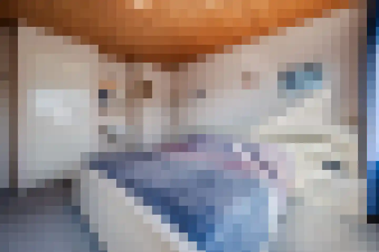 Heibeekstraat 16 Geldrop thumbnail 19