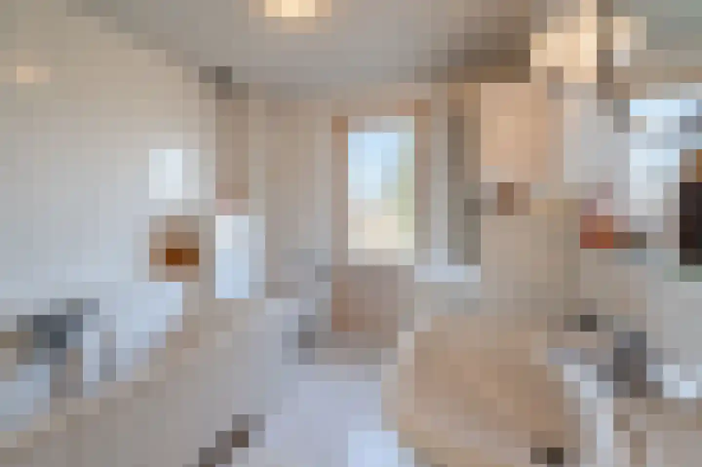 Heibeekstraat 16 Geldrop thumbnail 26