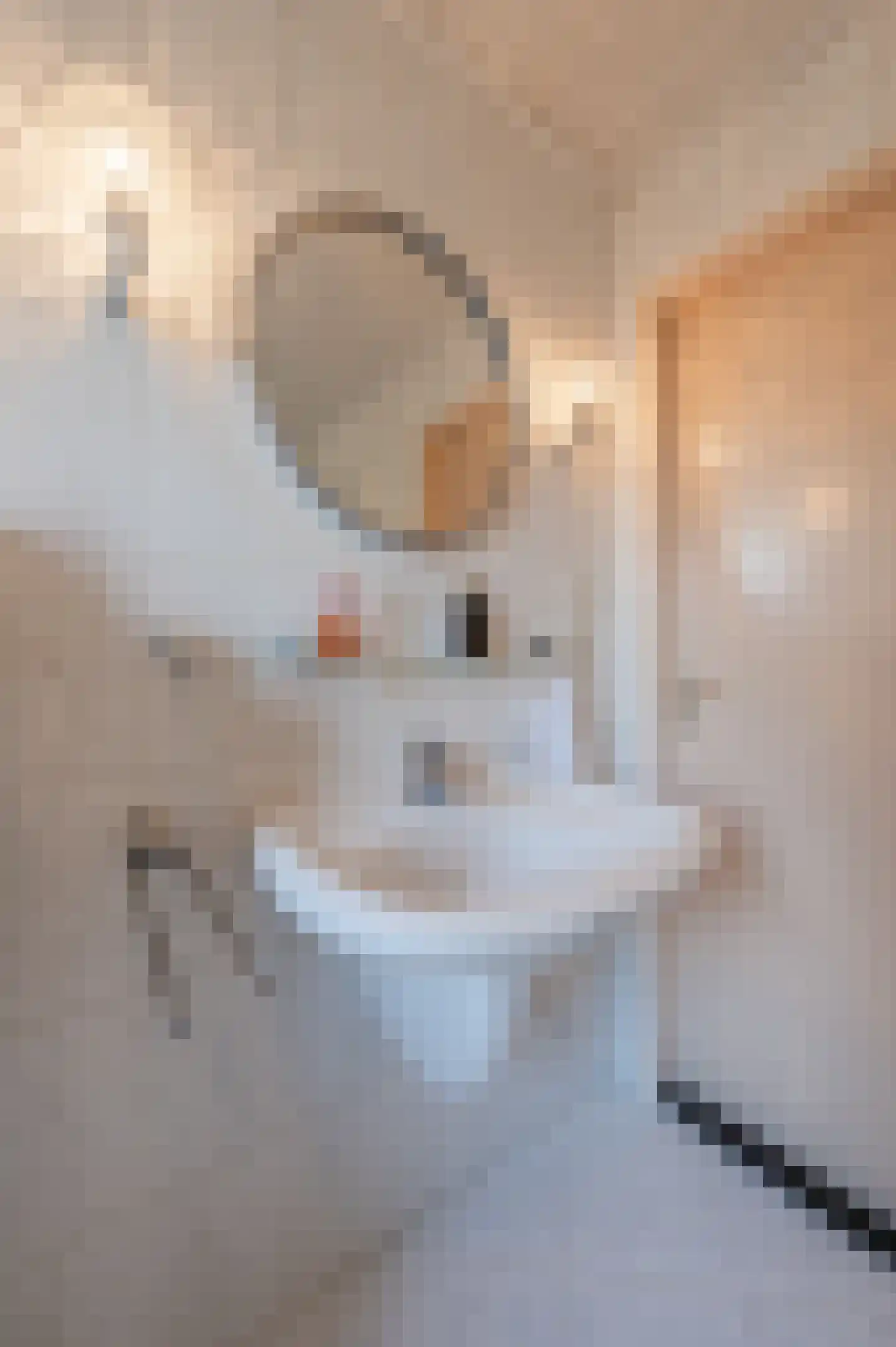 Heibeekstraat 16 Geldrop thumbnail 28